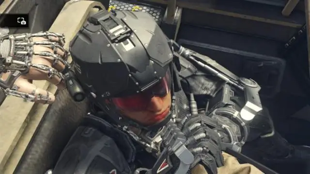 Популяции шмелей в Детройте выше, чем в некоторых менее урбанизированных районах; пустующие участки могут быть фактором