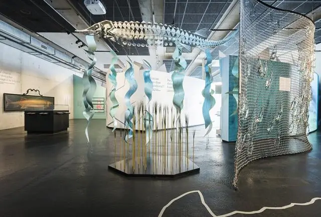 «Троянская рыба»: инвазивные рыбы-кролики распространяют инвазивные виды