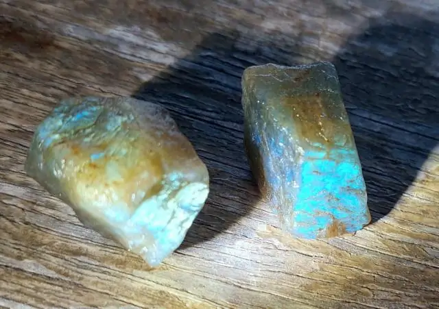 Синяя и фиолетовая кукуруза: больше не только для чипсов из тортильи