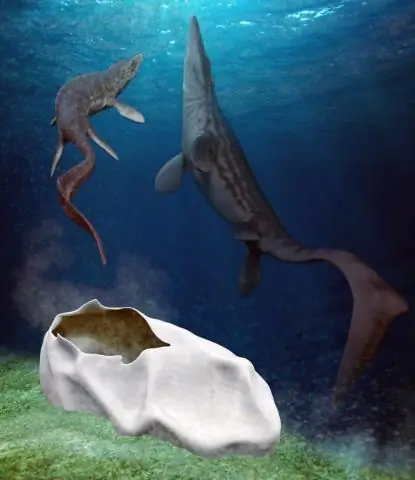 Высота суши может помочь объяснить, почему Антарктида нагревается медленнее, чем Арктика