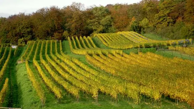 Измерение воздействия погоды на человека: ВМО публикует новые данные о воздействии погоды с точки зрения потерянных жизней
