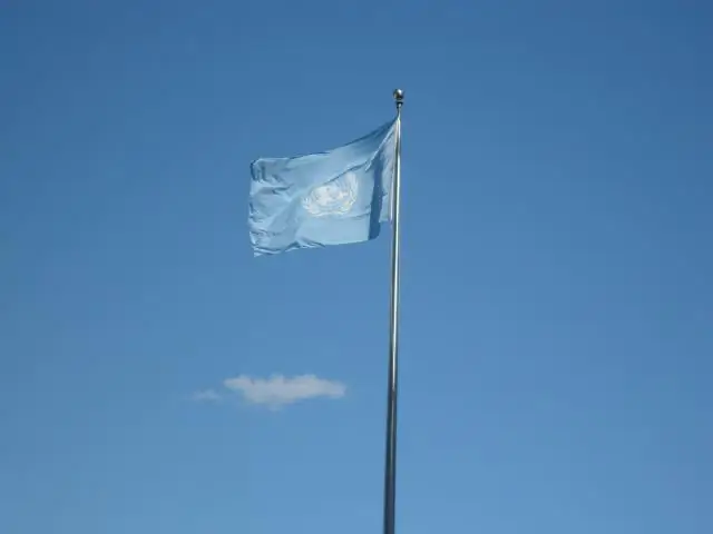 Исследование фальшивых гусениц раскрывает глобальную закономерность в хищничестве: Крошечные следы укусов раскрывают глобальную закономерность в хищничестве гусениц