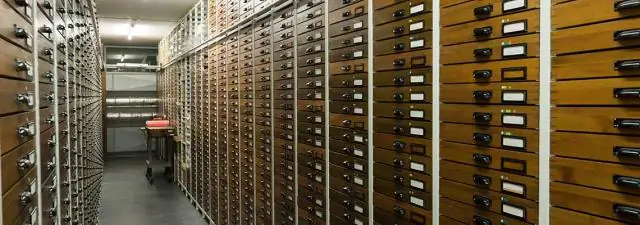 Герпетологи описывают эльфийскую лягушку из эльфийских лесов на юге Вьетнама