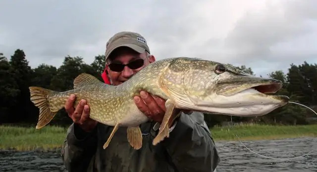 Загрязнители окружающей среды в крупных норвежских озерах
