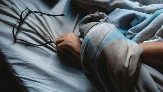 Нейронная схема вращает внутренний компас мухи