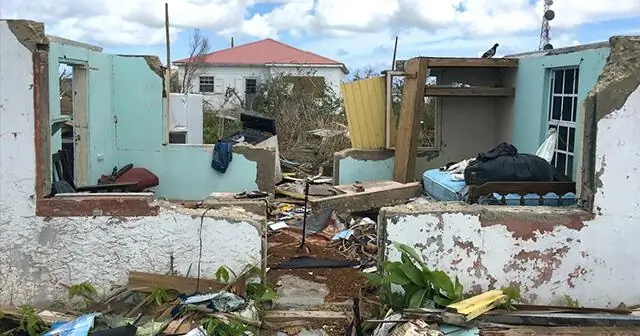 Влияние погодных условий на время заморозков: Циркуляция воздуха влияет на заморозки больше, чем на глобальное потепление - пока