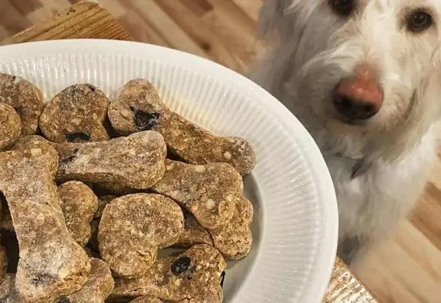 Обычный искусственный подсластитель, вероятно, является безопасным и эффективным средством контроля над рождаемостью и пестицидом