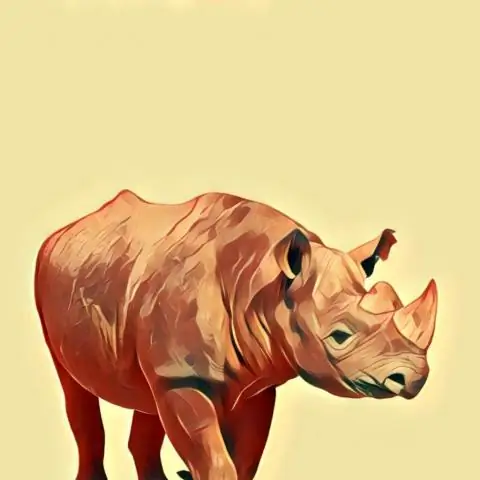 Удаление когтей связано с агрессией и другими отклонениями в поведении у кошек