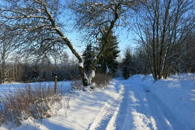 Осенний сезон отела может принести более высокую прибыль производителям говядины на юго-востоке: оценка рисков и доходов