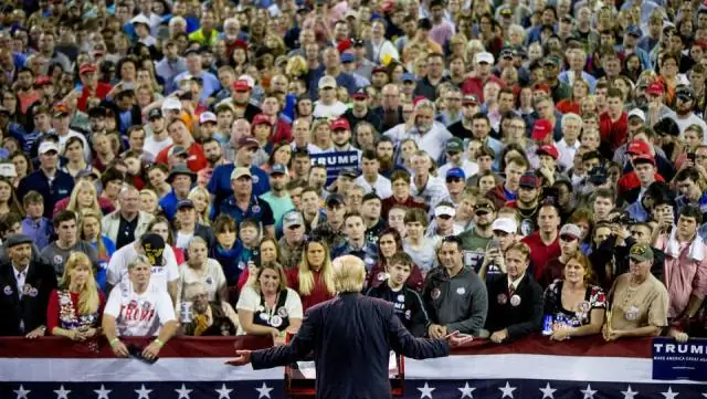 Три новых мини-улитки-шипа описаны из Джорджии (США), Белиза и Панамы