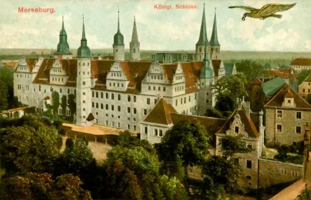 Разнообразие песен намекает на эволюционное прошлое дроздов