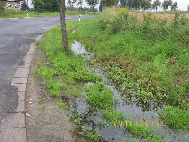 Эффективное восстановление водных экосистем
