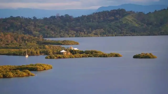 Первый взгляд на иммунную систему дельфинов