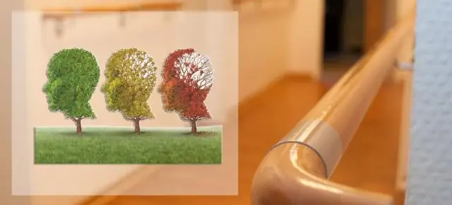 Выявлен генетический фактор риска развития рака глаза у лошадей