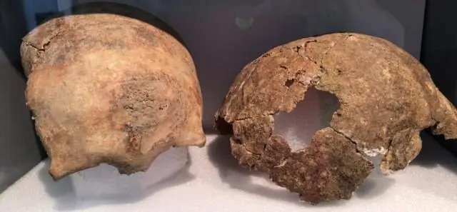 Древние данные ДНК показывают, что охотники-собиратели и земледельцы были тесно связаны