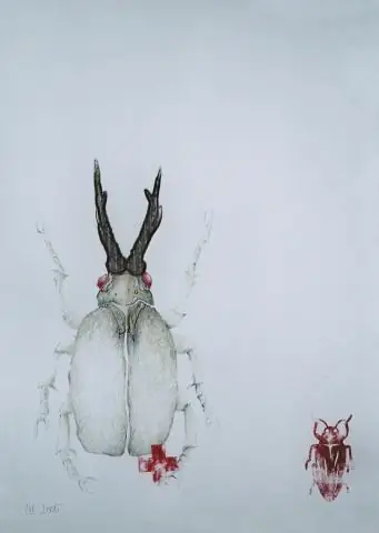 Новый вид ископаемой морской рептилии размером с автобус обнаружен в России