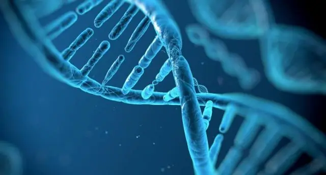 Древние генетические маркеры нерки могут помочь управлять более здоровыми запасами рыбы