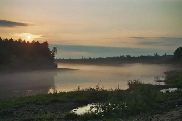 Изменение климата может оказать разрушительное воздействие на запасы углерода в лесах: новое исследование поможет принять политические решения