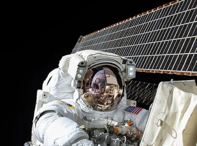 Исследование черепа собаки выявило генетические изменения, связанные с формой лица