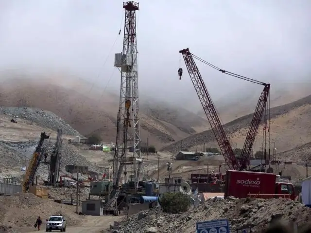 Шахтеры Конго часто прибегают к охоте на диких животных в поисках пищи, показало исследование