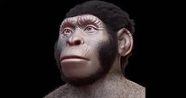 Тропические леса Амазонки могут оказаться более устойчивыми к обезлесению, чем считалось ранее