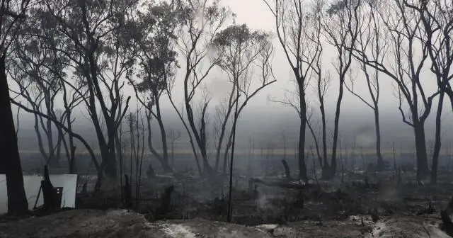 Ранее, о потеплении в Арктике: Ученые раскрыли причину потепления в Арктике в начале 20 века