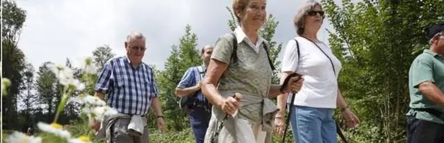 Когда нехватка сахара заставляет клетки поедать самих себя