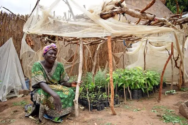 Поддержка приливной энергии среди жителей Вашингтона высока