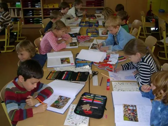 Волнистые попугайчики могут распознавать произносимые звуки без предварительного контакта с человеческой речью: как и люди, птицы «торгуют» голосовыми сигналами, чтобы отличить «d» от «t»