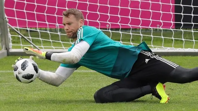 Раскрыт новый этап в развитии растительного гормона-вдохновителя