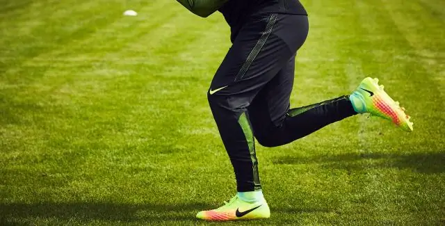 Новое исследование выявило самые ранние прямо датированные наскальные рисунки из Южной Африки