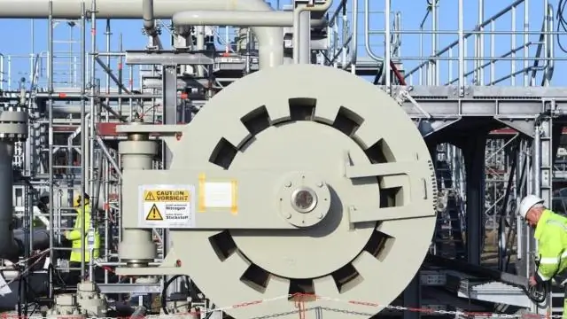 Ученые открыли новый способ борьбы с лекарственно-устойчивыми бактериями