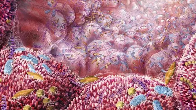 Почему антибиотики не помогают