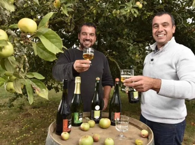 Испанский завод был неправильно классифицирован на 176 лет