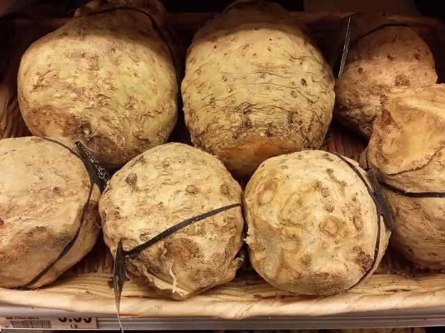 Разлагающиеся листья - удивительный источник парниковых газов