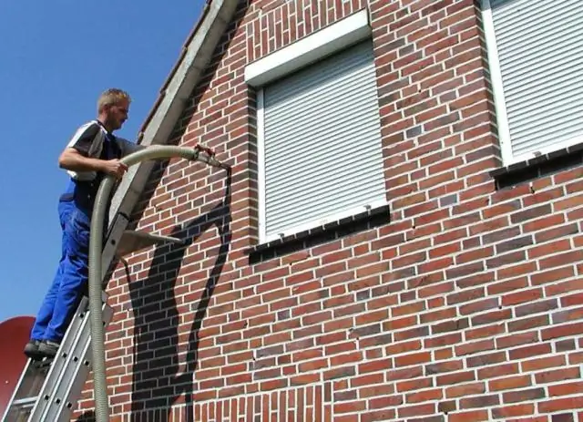 Небольшая группа клеток в зародыше растения работает аналогично человеческому мозгу