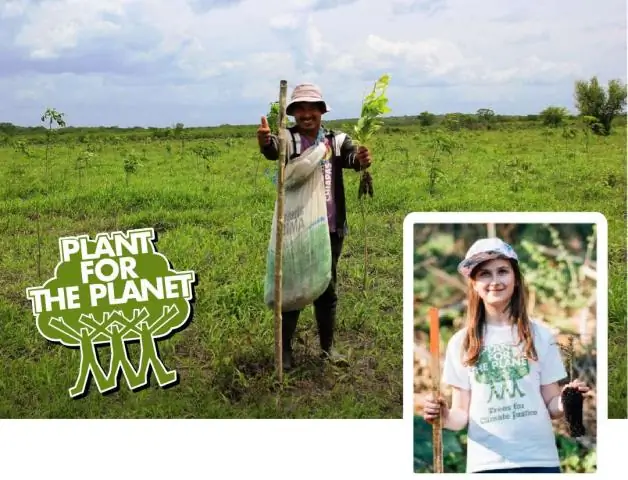 Морские заповедники помогают смягчить последствия изменения климата, считают ученые