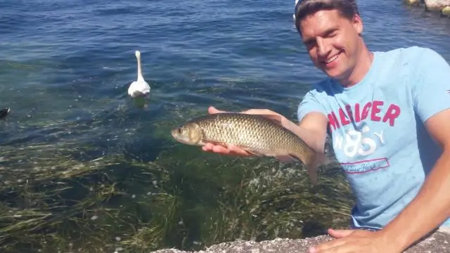 Какие вымершие утки умели летать?