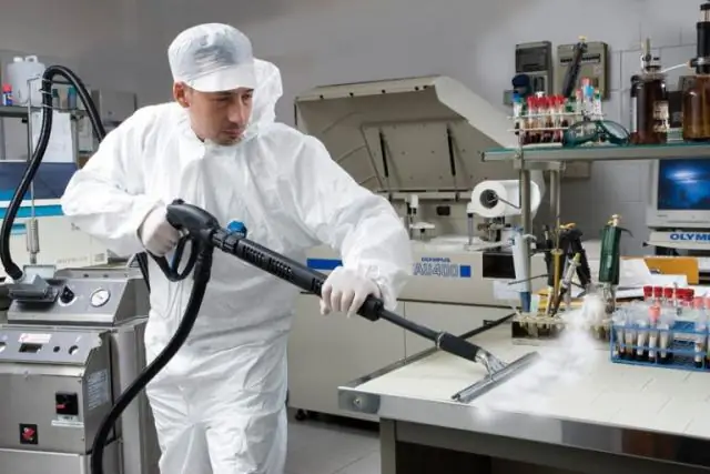 3D-моделирование остатков пищи в ископаемых фекалиях возрастом 230 миллионов лет