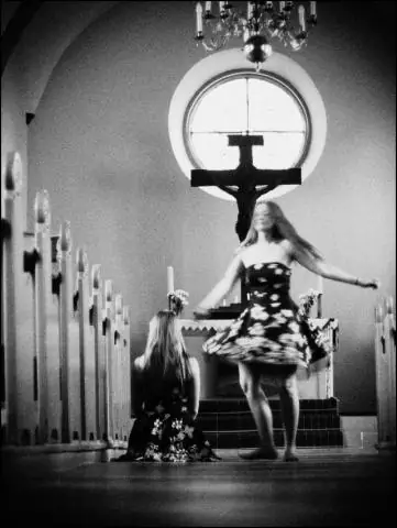 Самки Белоплечие морские львы, как правило, размножаются рядом с местом своего рождения: знакомство с другими самками, география могут иметь решающее значение для воспроизводства