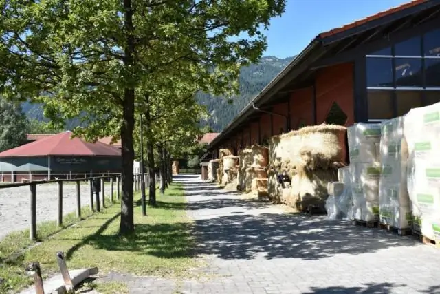 Поиск новых домов не поможет императорским пингвинам справиться с изменением климата