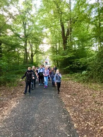 Могут ли съедобные насекомые помочь глобальной продовольственной безопасности?