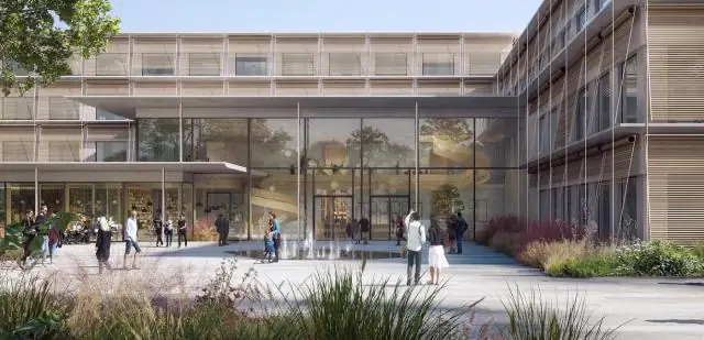 Исследование замены масла (пальмового): новое исследование позволяет производителям масличных пальм лучше управлять землей и урожаем