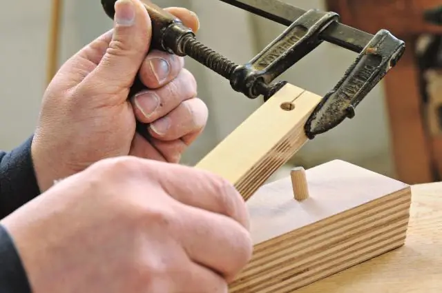 Неизбранный путь: ведут ли стресс-специфические мутации по разным эволюционным путям?