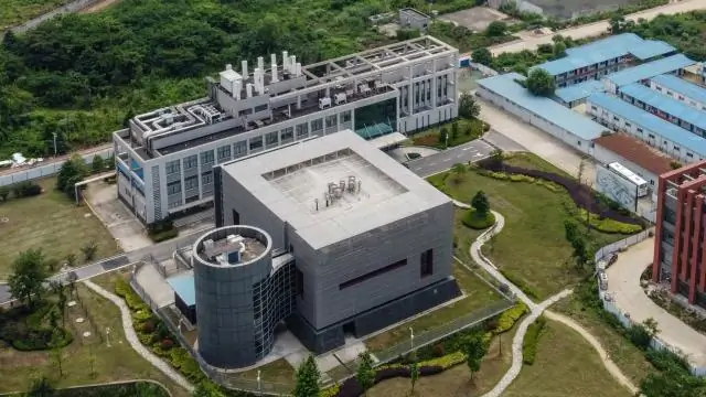 Летучие мыши являются основным резервуаром коронавирусов во всем мире