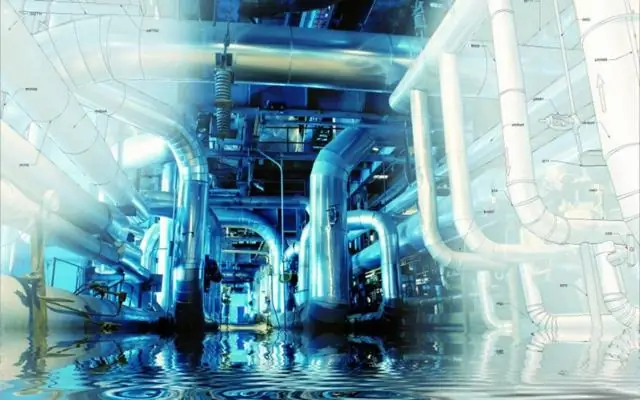 Технологии открывают геномы плесени для новых лекарств: систематический подход может помочь вернуть открытие лекарств «к природе»