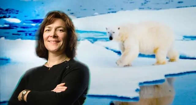 Генетические различия между видами определяют вокальное обучение молодых певчих птиц