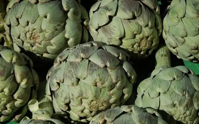 Дробление клеток: как динамический белковый механизм выполняет «окончательный разрез»