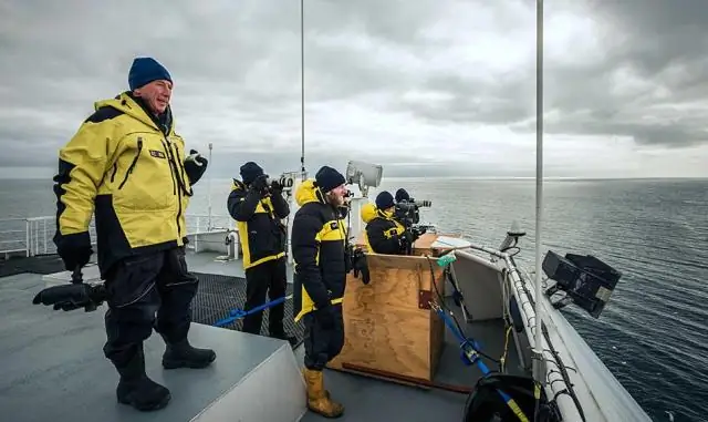 Исследователи обнаружили, что стеклянные угри используют внутренний компас, чтобы найти дорогу домой: ученые обнаружили «биологические» часы рыбы, которые ориентируются по магнитному полю Земли