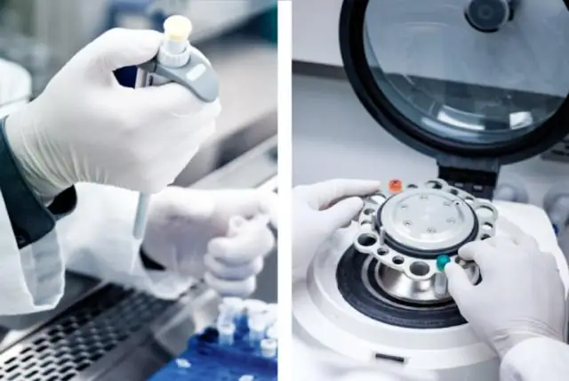 Е. Раскрыт секрет защиты бактерий coli